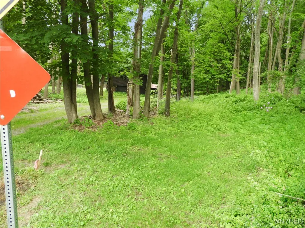 Area at street where drwvy wld be installed.