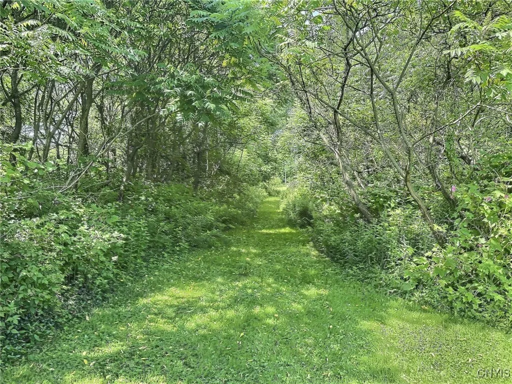 4177 Austin Road, Venice, New York 13118, Venice, New York 13118, 4 Bedrooms Bedrooms, 8 Rooms Rooms,2 BathroomsBathrooms,Residential,For Sale,4177 Austin Road, Venice, New York 13118,0,S1617422