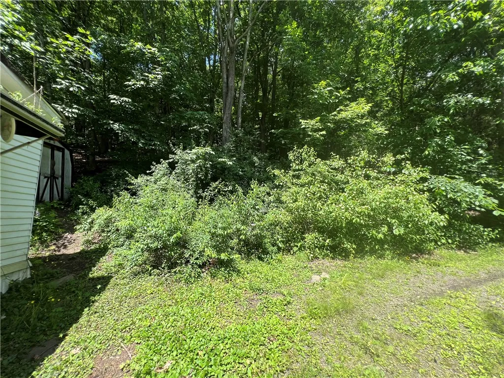 107 County Highway 9, Oneonta-town, New York 13820, Oneonta, New York 13820, 2 Bedrooms Bedrooms, ,Land,Closed,107 County Highway 9, Oneonta-town, New York 13820,0,R1616215