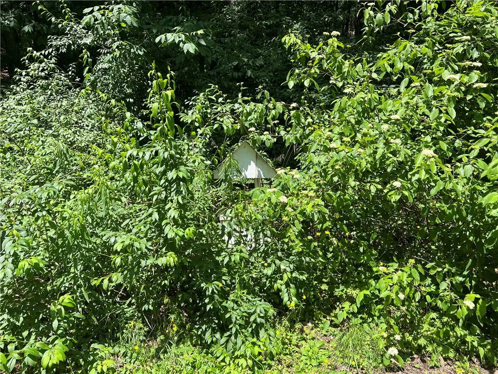 107 County Highway 9, Oneonta-town, New York 13820, Oneonta, New York 13820, 2 Bedrooms Bedrooms, ,Land,Closed,107 County Highway 9, Oneonta-town, New York 13820,0,R1616215