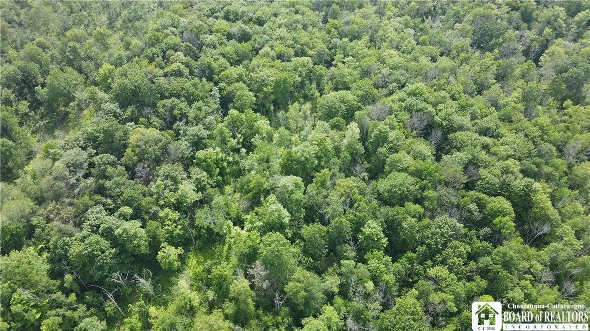 5081 Route 76, Ripley, New York 14775, Ripley, New York 14775, ,Land,Closed,5081 Route 76, Ripley, New York 14775,0,R1617851