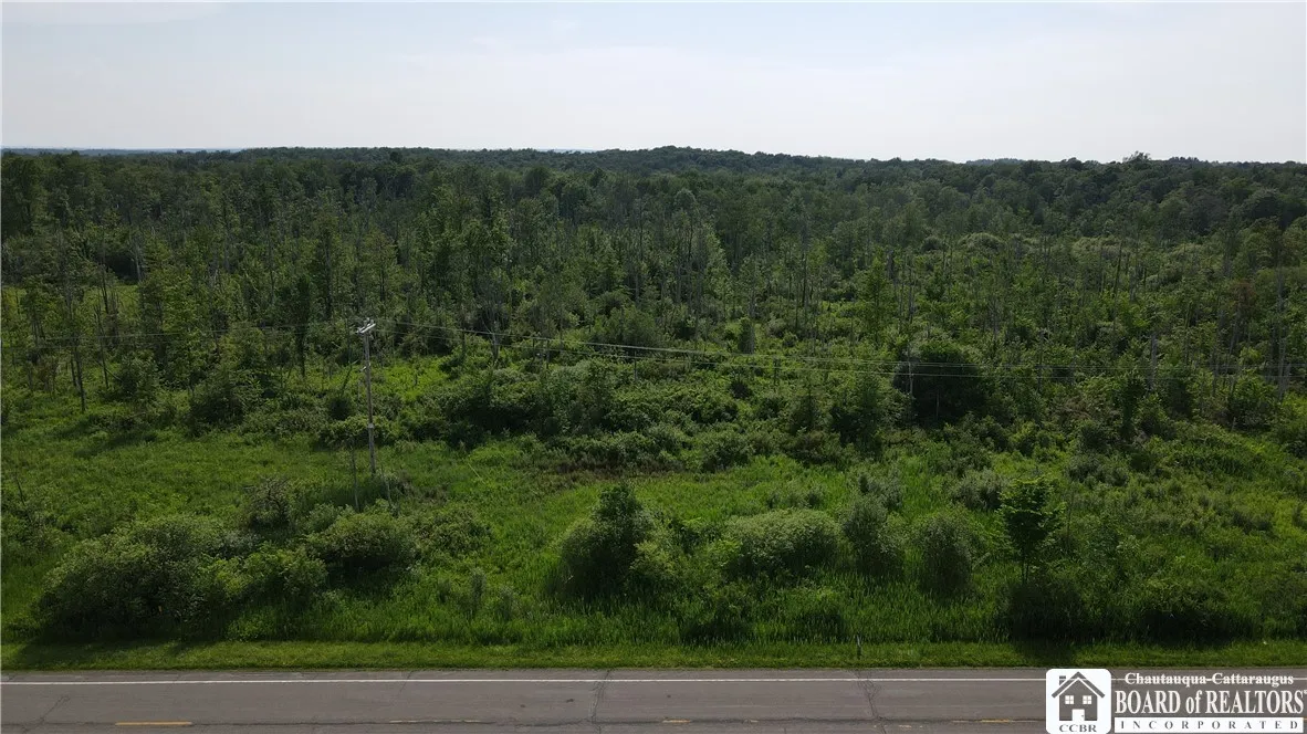 5081 Route 76, Ripley, New York 14775, Ripley, New York 14775, ,Land,Closed,5081 Route 76, Ripley, New York 14775,0,R1617851