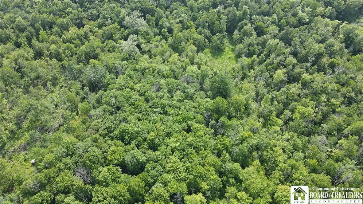 5081 Route 76, Ripley, New York 14775, Ripley, New York 14775, ,Land,Closed,5081 Route 76, Ripley, New York 14775,0,R1617851