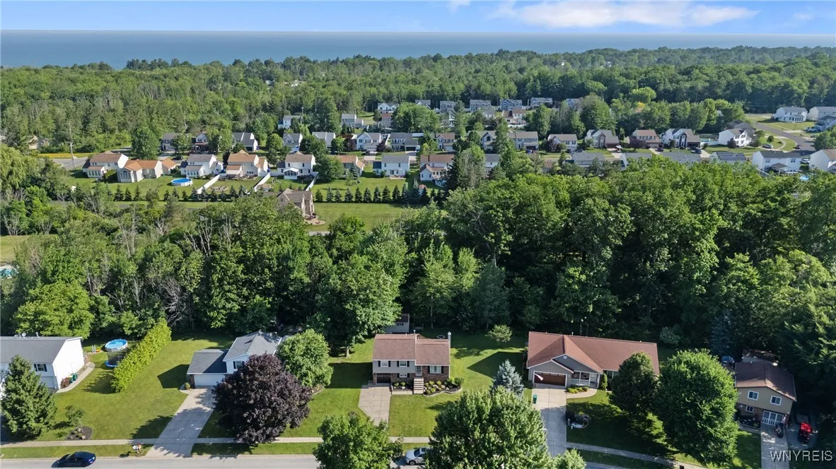 Drone shows wooded area.