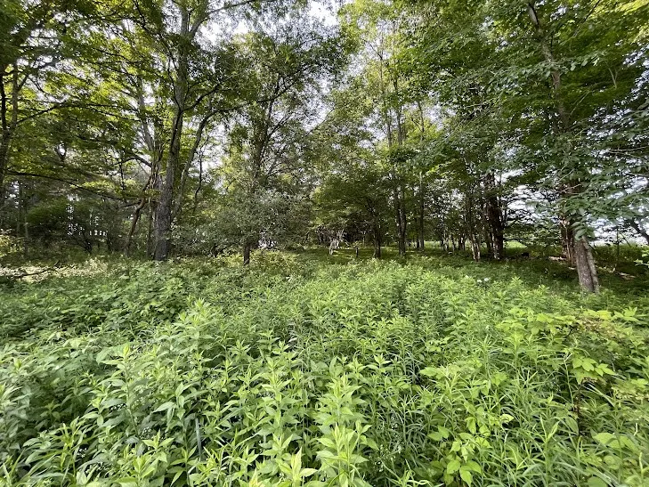 22869 And 22871 State Highway 23, Harpersfield, Ne, Harpersfield, New York 13786, 3 Bedrooms Bedrooms, 6 Rooms Rooms,2 BathroomsBathrooms,Residential,For Sale,22869 And 22871 State Highway 23, Harpersfield, Ne,R1617373