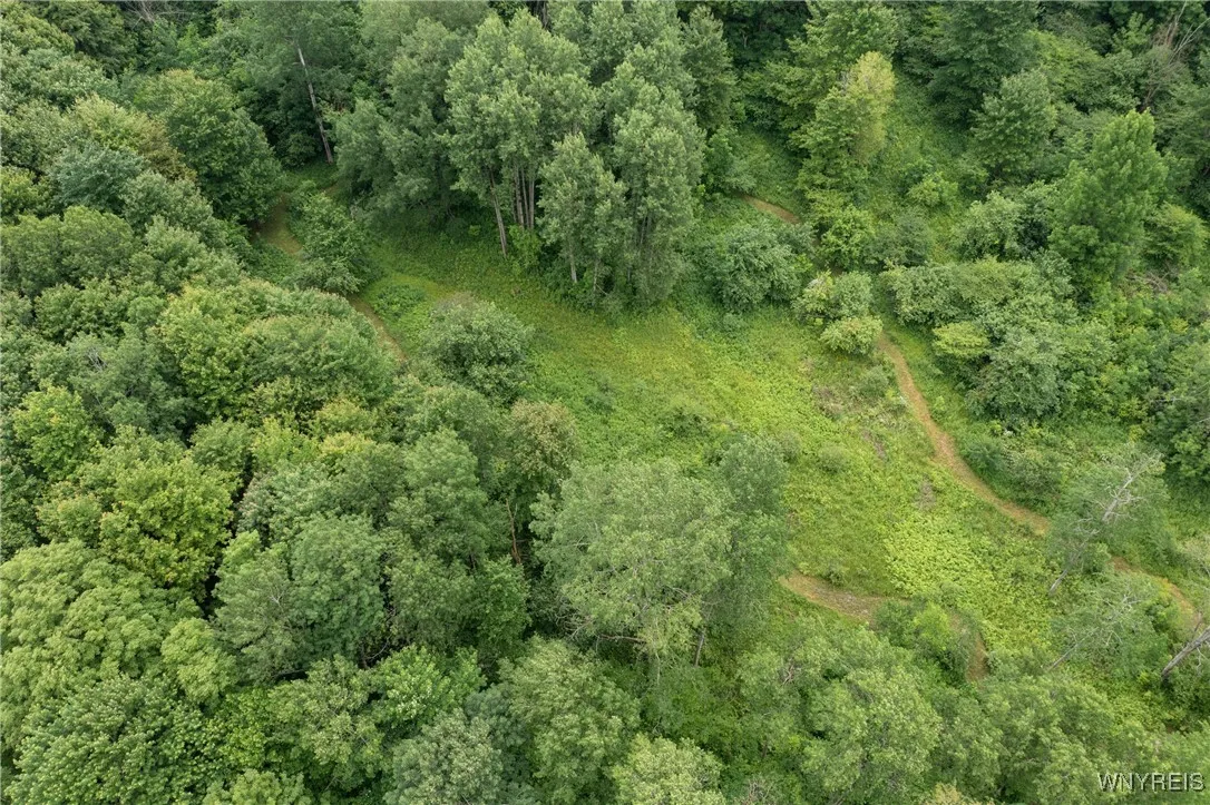7756 Route 219, Ellicottville, New York 14731, Ellicottville, New York 14731, ,Land,For Sale,7756 Route 219, Ellicottville, New York 14731,0,B1616796