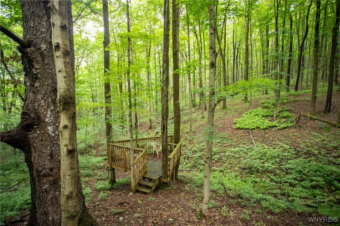 7756 Route 219, Ellicottville, New York 14731, Ellicottville, New York 14731, ,Land,For Sale,7756 Route 219, Ellicottville, New York 14731,0,B1616796