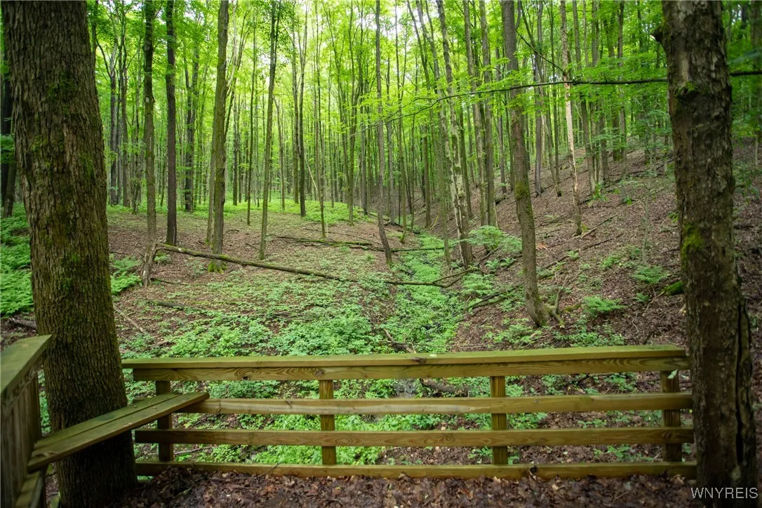 7756 Route 219, Ellicottville, New York 14731, Ellicottville, New York 14731, ,Land,For Sale,7756 Route 219, Ellicottville, New York 14731,0,B1616796