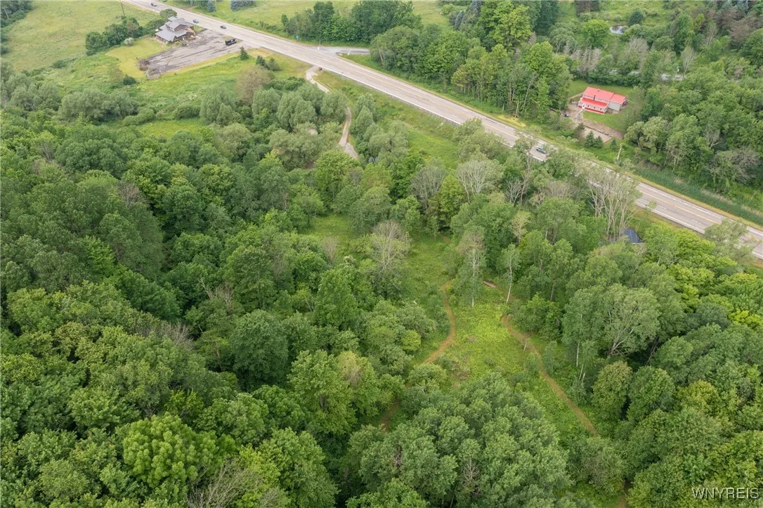 7756 Route 219, Ellicottville, New York 14731, Ellicottville, New York 14731, ,Land,For Sale,7756 Route 219, Ellicottville, New York 14731,0,B1616796