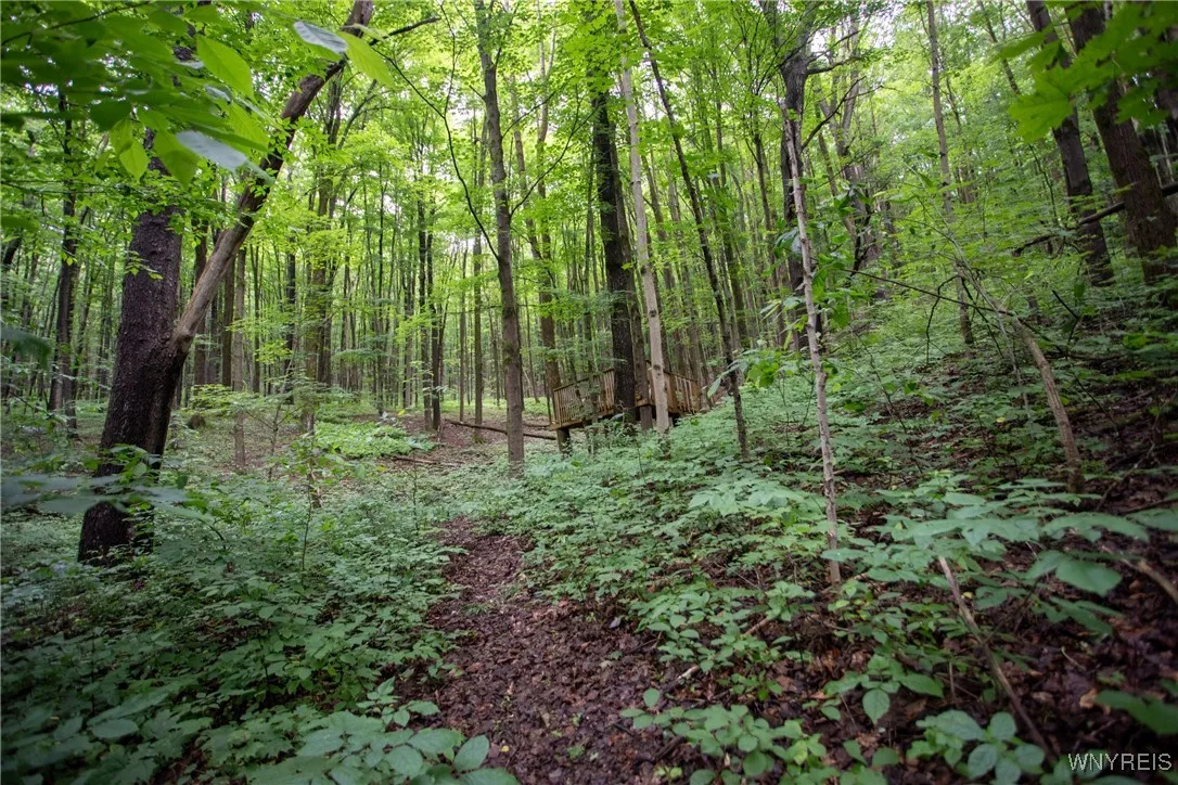 7756 Route 219, Ellicottville, New York 14731, Ellicottville, New York 14731, ,Land,For Sale,7756 Route 219, Ellicottville, New York 14731,0,B1616796