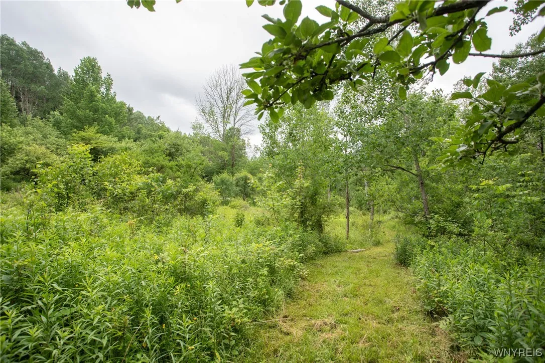 7756 Route 219, Ellicottville, New York 14731, Ellicottville, New York 14731, ,Land,For Sale,7756 Route 219, Ellicottville, New York 14731,0,B1616796