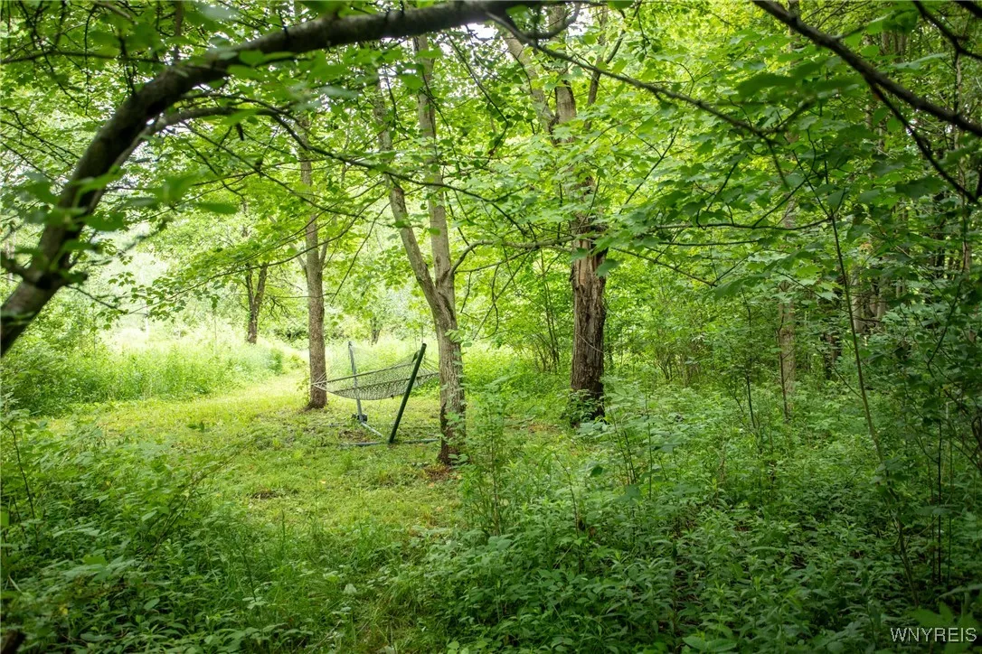7756 Route 219, Ellicottville, New York 14731, Ellicottville, New York 14731, ,Land,For Sale,7756 Route 219, Ellicottville, New York 14731,0,B1616796