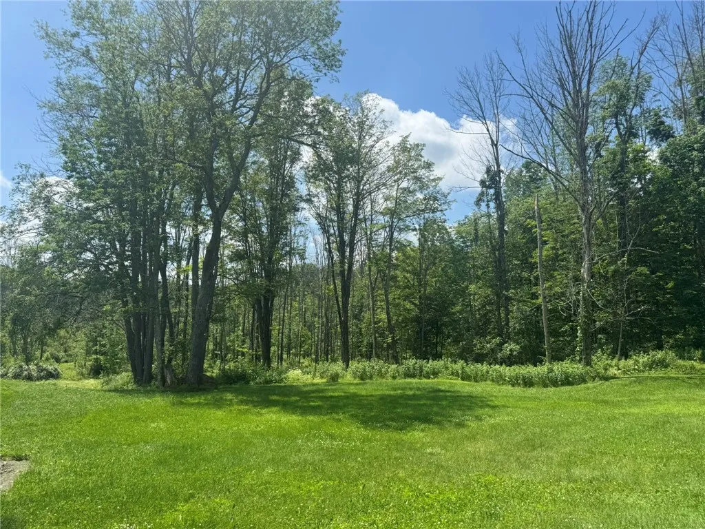 504 Whites Hill Road, Guilford, New York 13780, Guilford, New York 13780, 2 Bedrooms Bedrooms, 6 Rooms Rooms,2 BathroomsBathrooms,Residential,Closed,504 Whites Hill Road, Guilford, New York 13780,0,R1617573