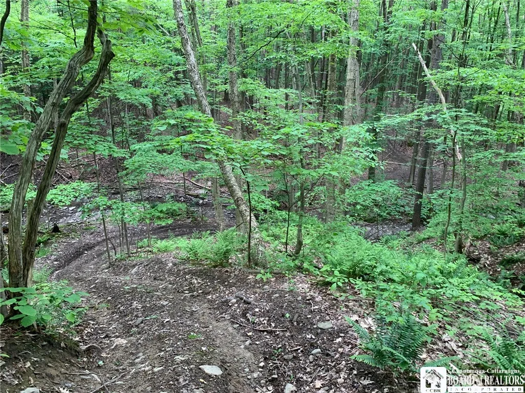 905 Waterman Road, Ellington, New York 14747, Ellington, New York 14747, ,Land,For Sale,905 Waterman Road, Ellington, New York 14747,R1617393