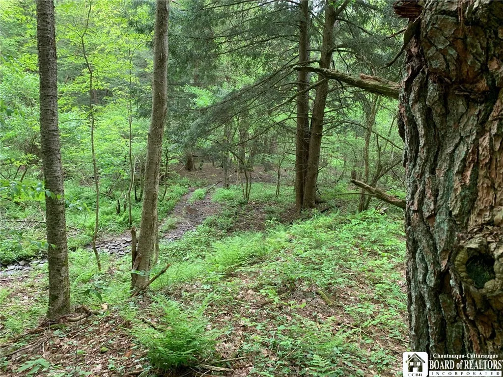 905 Waterman Road, Ellington, New York 14747, Ellington, New York 14747, ,Land,For Sale,905 Waterman Road, Ellington, New York 14747,R1617393