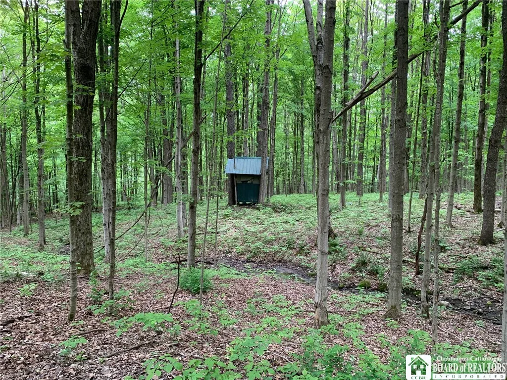 905 Waterman Road, Ellington, New York 14747, Ellington, New York 14747, ,Land,For Sale,905 Waterman Road, Ellington, New York 14747,R1617393