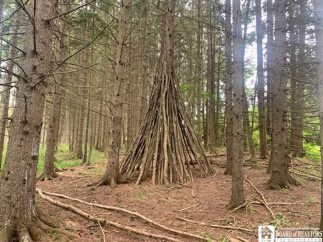 905 Waterman Road, Ellington, New York 14747, Ellington, New York 14747, ,Land,For Sale,905 Waterman Road, Ellington, New York 14747,R1617393
