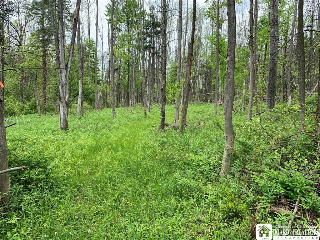 905 Waterman Road, Ellington, New York 14747, Ellington, New York 14747, ,Land,For Sale,905 Waterman Road, Ellington, New York 14747,R1617393