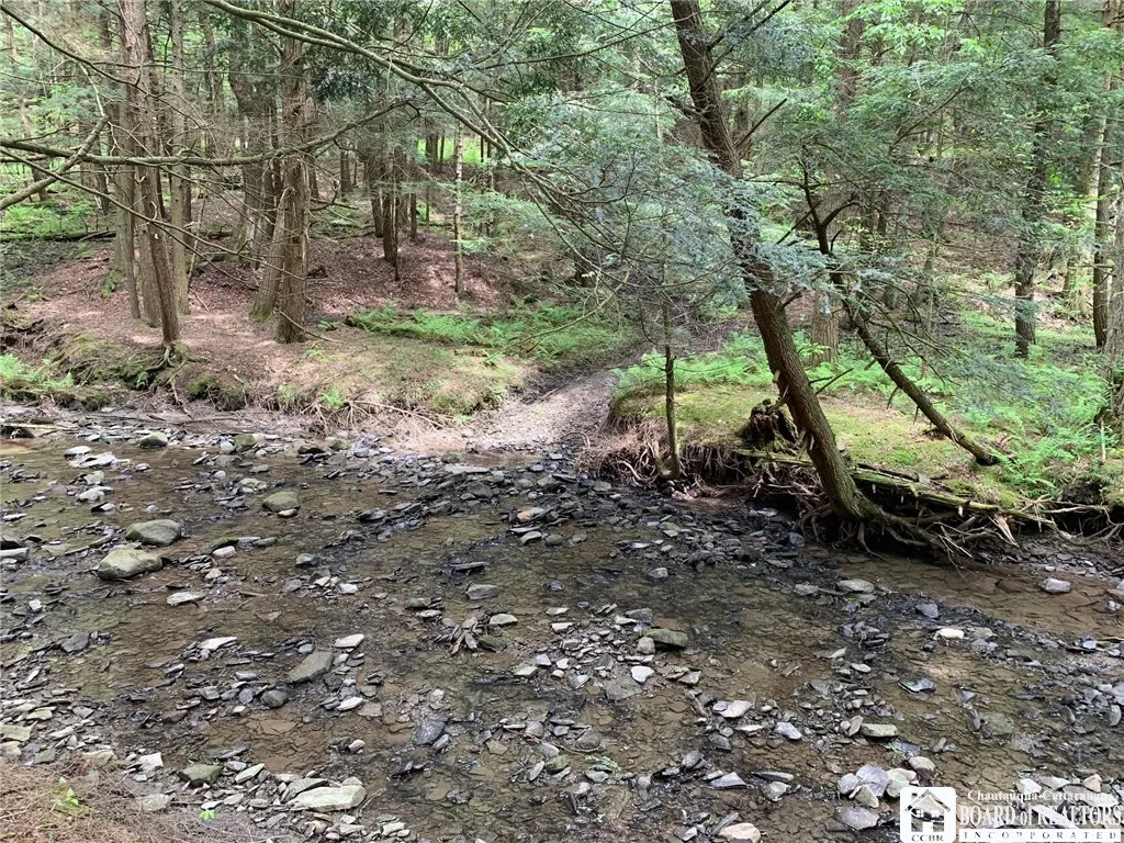 905 Waterman Road, Ellington, New York 14747, Ellington, New York 14747, ,Land,For Sale,905 Waterman Road, Ellington, New York 14747,R1617393