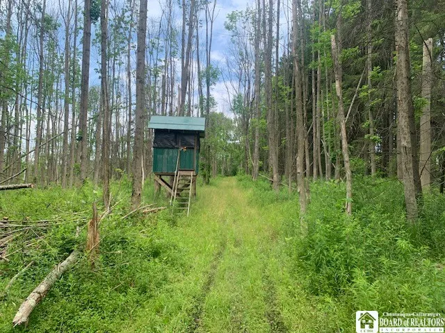 905 Waterman Road, Ellington, New York 14747, Ellington, New York 14747, ,Land,For Sale,905 Waterman Road, Ellington, New York 14747,R1617393