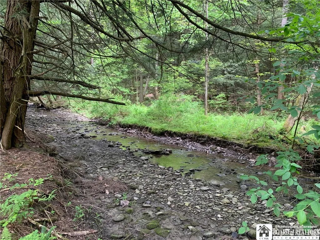 905 Waterman Road, Ellington, New York 14747, Ellington, New York 14747, ,Land,For Sale,905 Waterman Road, Ellington, New York 14747,R1617393