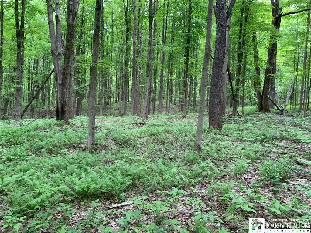 905 Waterman Road, Ellington, New York 14747, Ellington, New York 14747, ,Land,For Sale,905 Waterman Road, Ellington, New York 14747,R1617393
