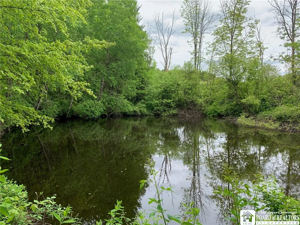 905 Waterman Road, Ellington, New York 14747, Ellington, New York 14747, ,Land,For Sale,905 Waterman Road, Ellington, New York 14747,R1617393