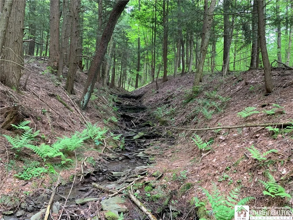 905 Waterman Road, Ellington, New York 14747, Ellington, New York 14747, ,Land,For Sale,905 Waterman Road, Ellington, New York 14747,R1617393