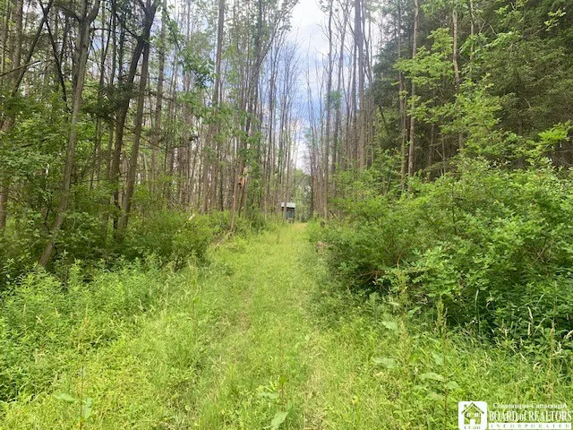905 Waterman Road, Ellington, New York 14747, Ellington, New York 14747, ,Land,For Sale,905 Waterman Road, Ellington, New York 14747,R1617393