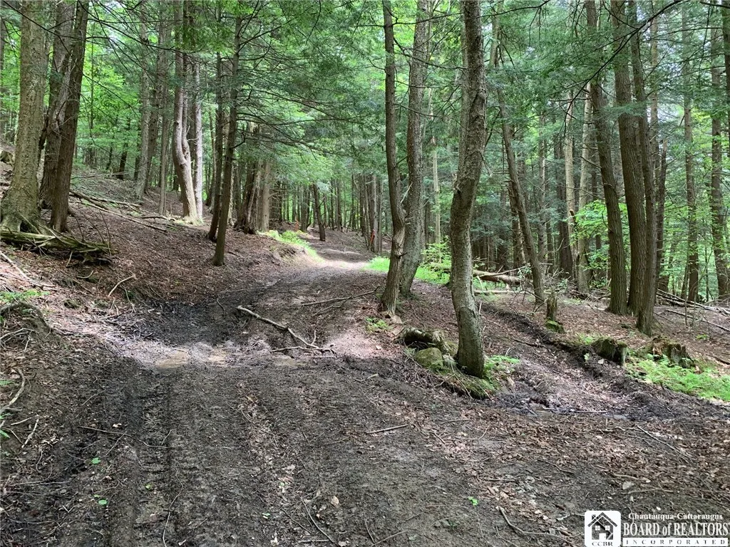 905 Waterman Road, Ellington, New York 14747, Ellington, New York 14747, ,Land,For Sale,905 Waterman Road, Ellington, New York 14747,R1617393