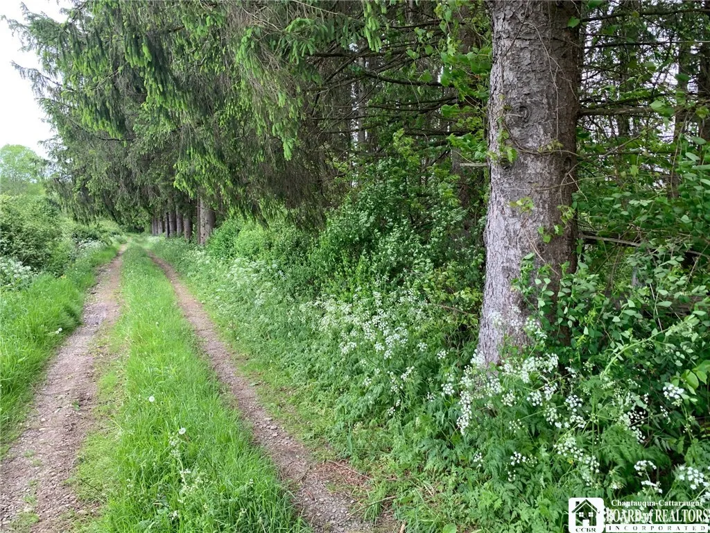905 Waterman Road, Ellington, New York 14747, Ellington, New York 14747, ,Land,For Sale,905 Waterman Road, Ellington, New York 14747,R1617393