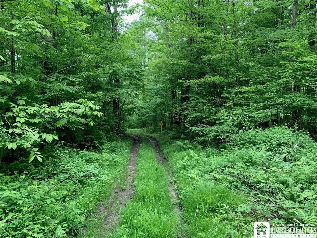 905 Waterman Road, Ellington, New York 14747, Ellington, New York 14747, ,Land,For Sale,905 Waterman Road, Ellington, New York 14747,R1617393