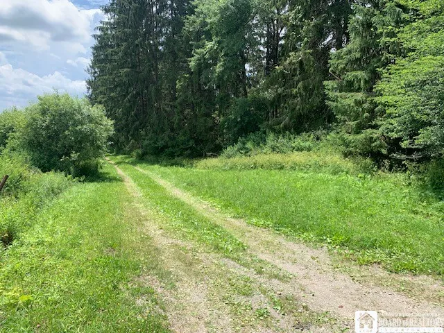 905 Waterman Road, Ellington, New York 14747, Ellington, New York 14747, ,Land,For Sale,905 Waterman Road, Ellington, New York 14747,R1617393