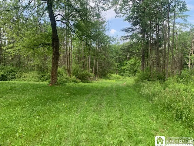 905 Waterman Road, Ellington, New York 14747, Ellington, New York 14747, ,Land,For Sale,905 Waterman Road, Ellington, New York 14747,R1617393
