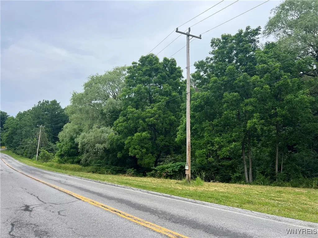 Park Road West, Castile, New York 14427, Castile, New York 14427, ,Land,For Sale,Park Road West, Castile, New York 14427,B1618128