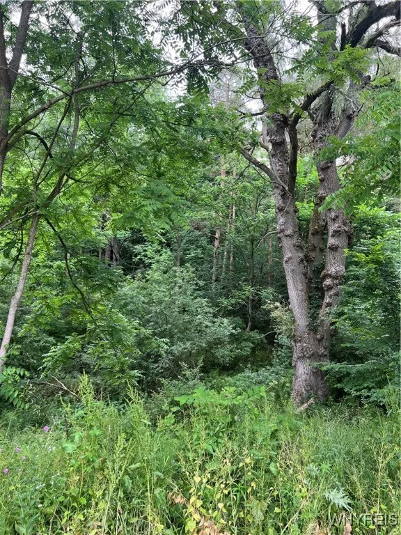 Park Road West, Castile, New York 14427, Castile, New York 14427, ,Land,For Sale,Park Road West, Castile, New York 14427,B1618128