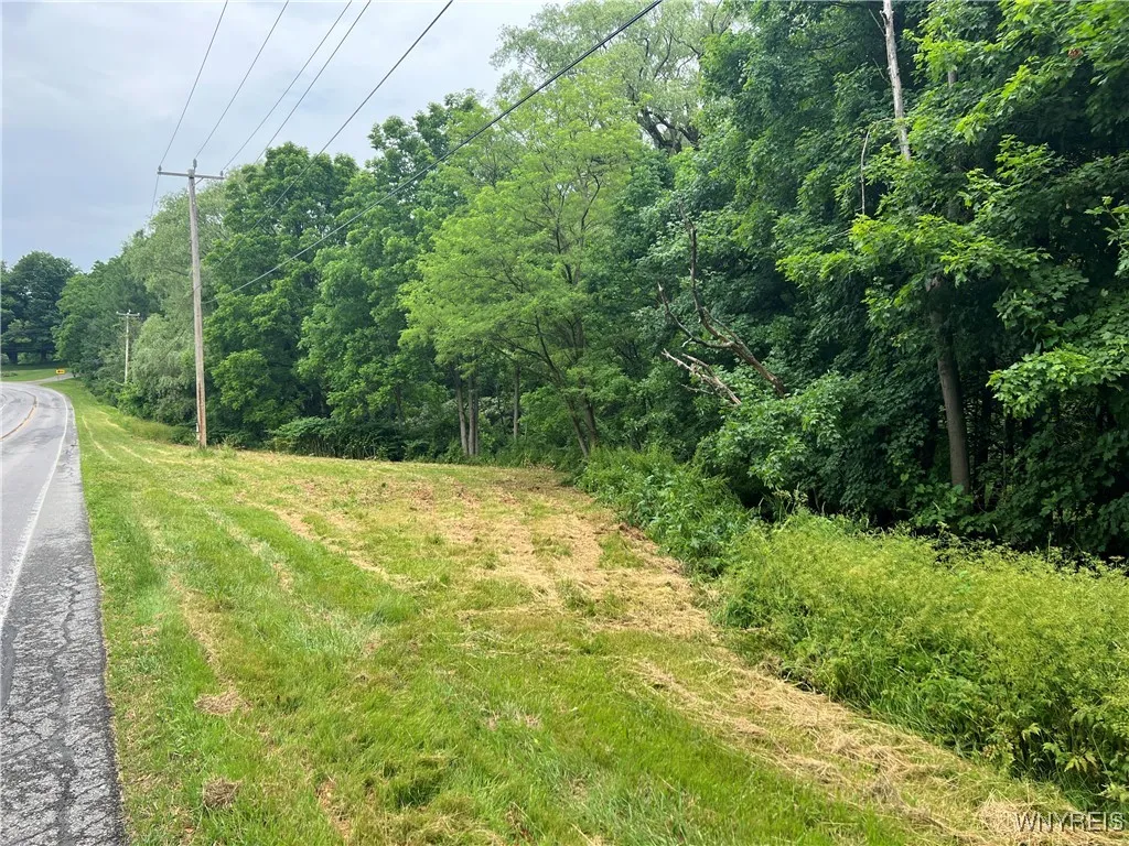 Park Road West, Castile, New York 14427, Castile, New York 14427, ,Land,For Sale,Park Road West, Castile, New York 14427,B1618128