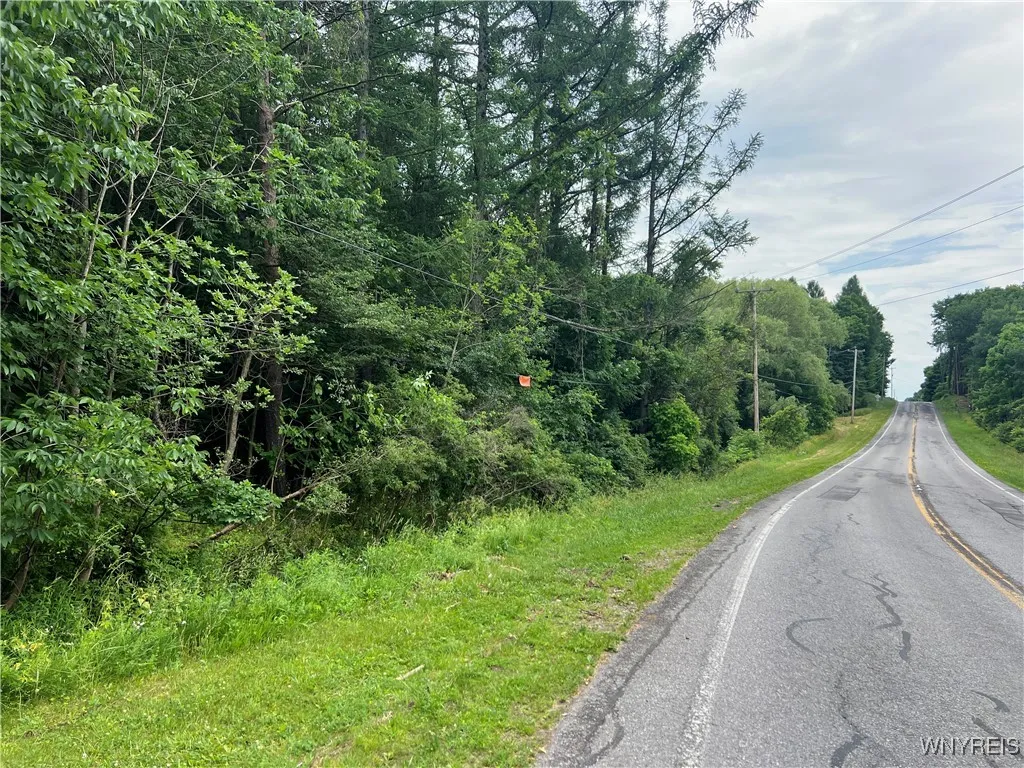 Park Road West, Castile, New York 14427, Castile, New York 14427, ,Land,For Sale,Park Road West, Castile, New York 14427,B1618128