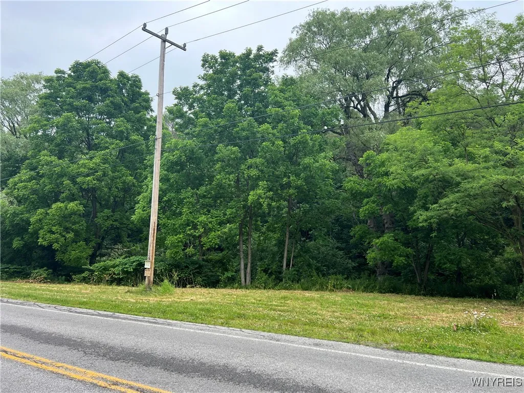 Park Road West, Castile, New York 14427, Castile, New York 14427, ,Land,For Sale,Park Road West, Castile, New York 14427,B1618128
