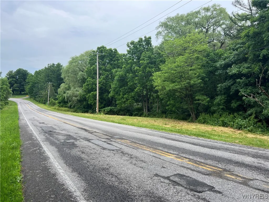 Park Road West, Castile, New York 14427, Castile, New York 14427, ,Land,For Sale,Park Road West, Castile, New York 14427,B1618128