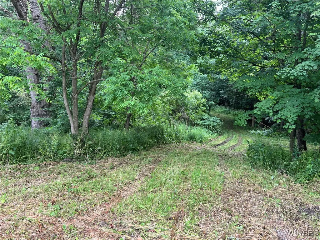Park Road West, Castile, New York 14427, Castile, New York 14427, ,Land,For Sale,Park Road West, Castile, New York 14427,B1618128
