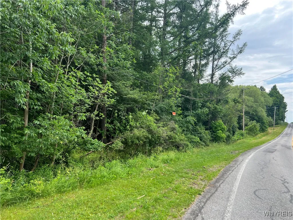 Park Road West, Castile, New York 14427, Castile, New York 14427, ,Land,For Sale,Park Road West, Castile, New York 14427,B1618128