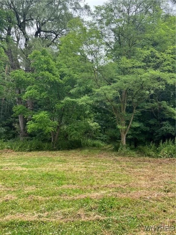 Park Road West, Castile, New York 14427, Castile, New York 14427, ,Land,For Sale,Park Road West, Castile, New York 14427,B1618128