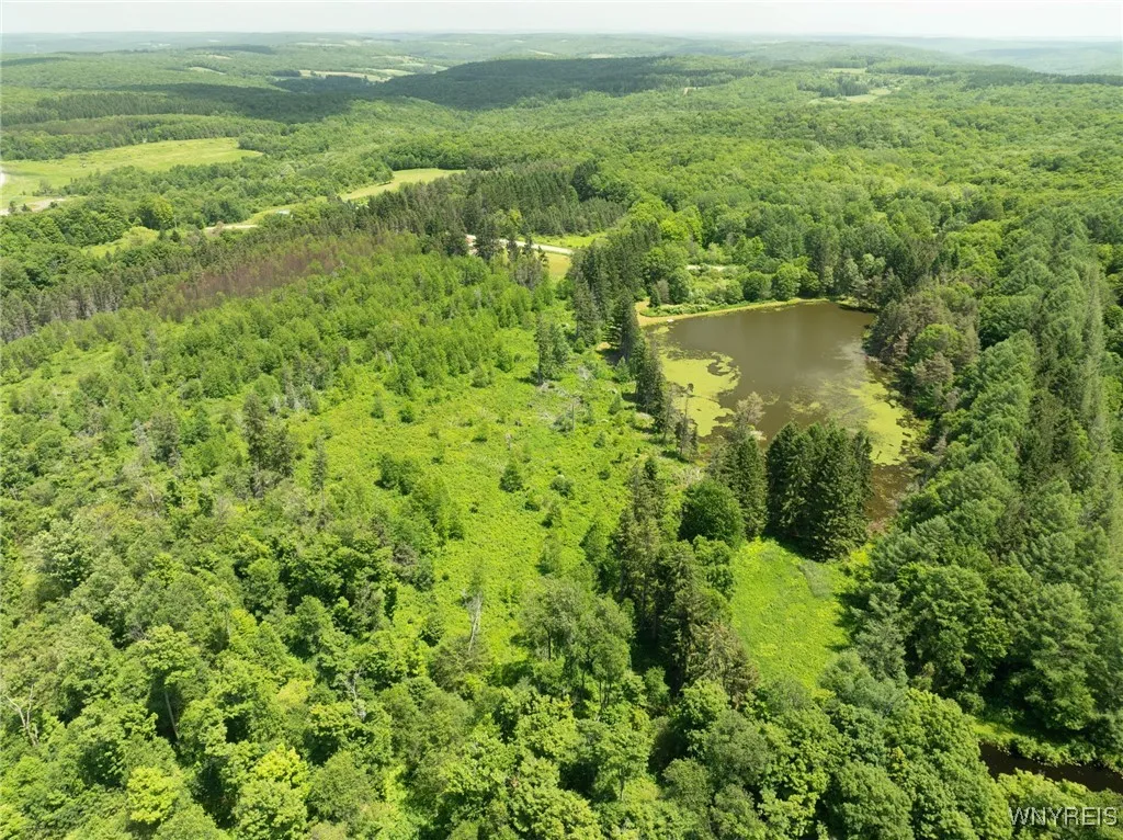 7961 Irish Hill Road, Ellicottville, New York 1417, Ellicottville, New York 14731, 3 Bedrooms Bedrooms, 9 Rooms Rooms,2 BathroomsBathrooms,Residential,For Sale,7961 Irish Hill Road, Ellicottville, New York 1417,B1616728