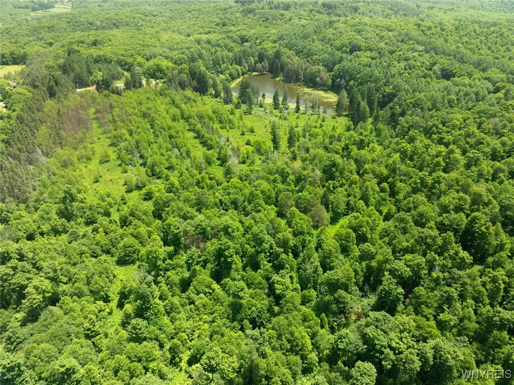 7961 Irish Hill Road, Ellicottville, New York 1417, Ellicottville, New York 14731, 3 Bedrooms Bedrooms, 9 Rooms Rooms,2 BathroomsBathrooms,Residential,For Sale,7961 Irish Hill Road, Ellicottville, New York 1417,B1616728