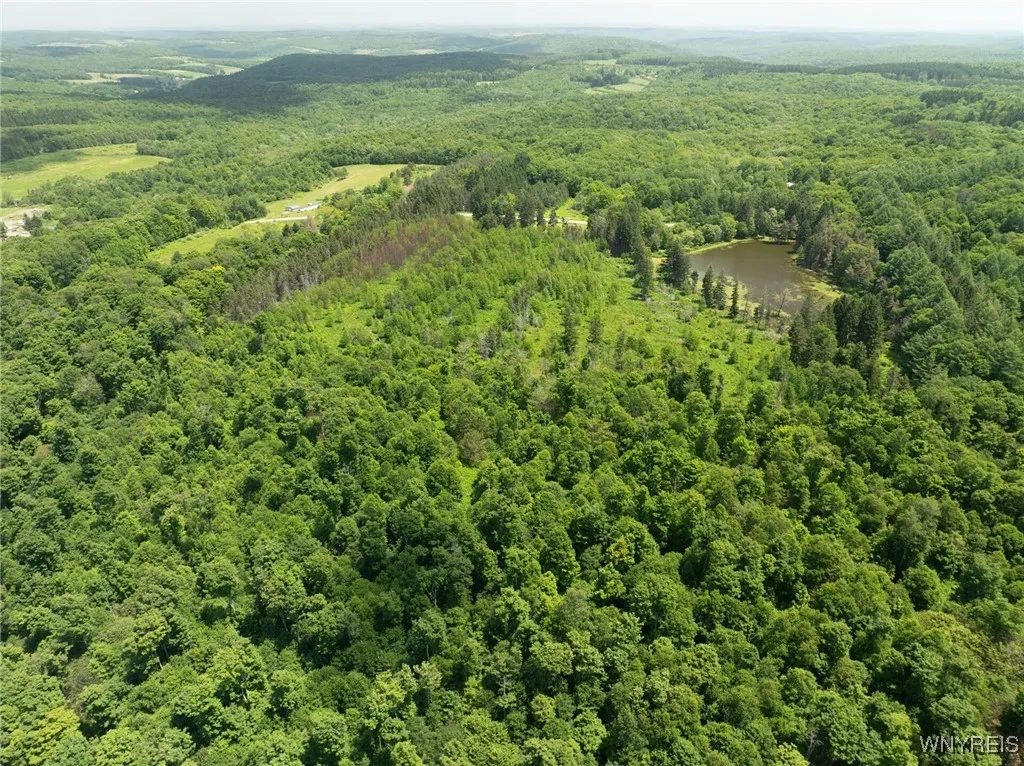 7961 Irish Hill Road, Ellicottville, New York 1417, Ellicottville, New York 14731, 3 Bedrooms Bedrooms, 9 Rooms Rooms,2 BathroomsBathrooms,Residential,For Sale,7961 Irish Hill Road, Ellicottville, New York 1417,B1616728