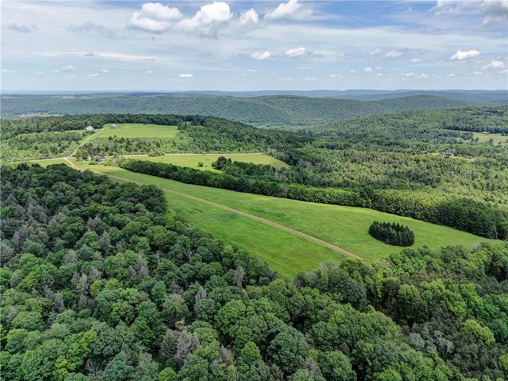 172 Hill Road, Danby, New York 14850, Danby, New York 14850, ,Land,For Sale,172 Hill Road, Danby, New York 14850,0,R1618374