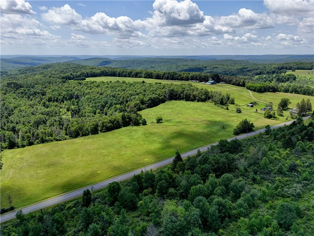 172 Hill Road, Danby, New York 14850, Danby, New York 14850, ,Land,For Sale,172 Hill Road, Danby, New York 14850,0,R1618374