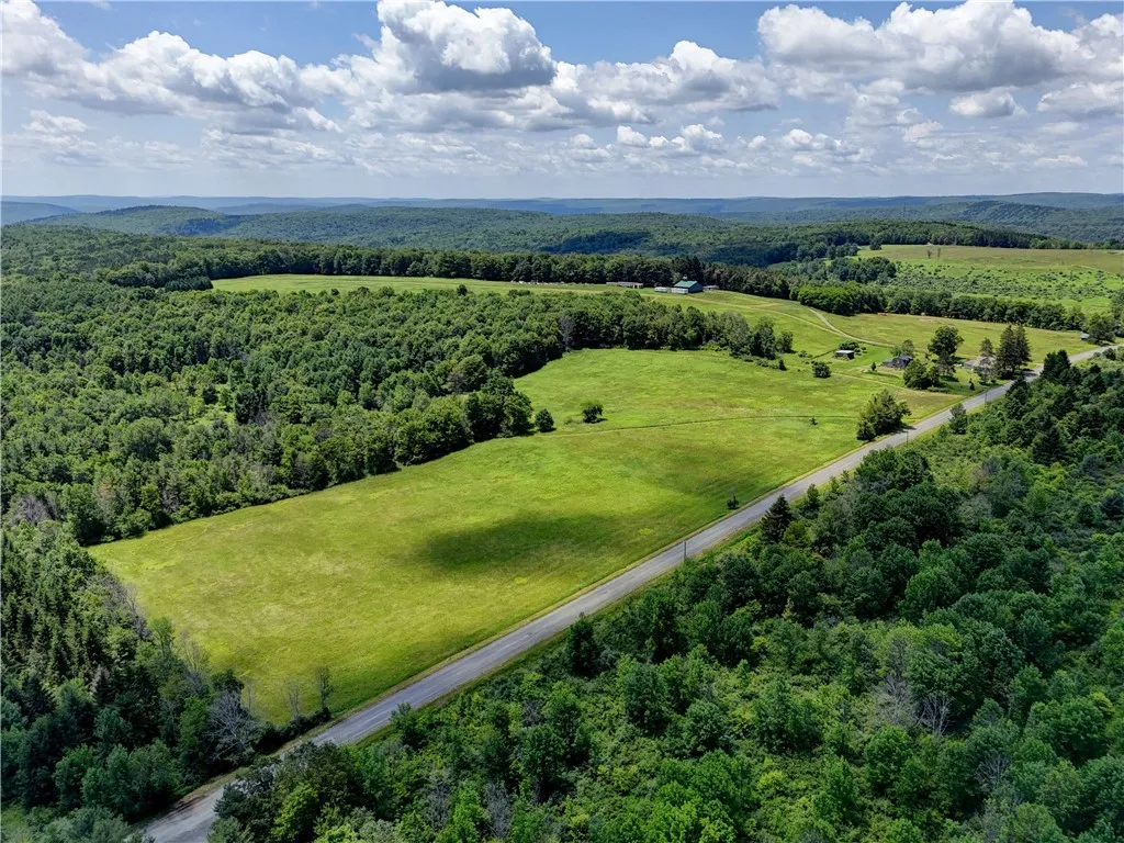 172 Hill Road, Danby, New York 14850, Danby, New York 14850, ,Land,For Sale,172 Hill Road, Danby, New York 14850,0,R1618374