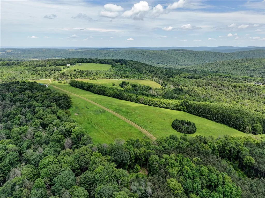172 Hill Road, Danby, New York 14850, Danby, New York 14850, ,Land,For Sale,172 Hill Road, Danby, New York 14850,0,R1618374